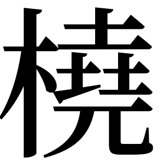 漢字 プラスター